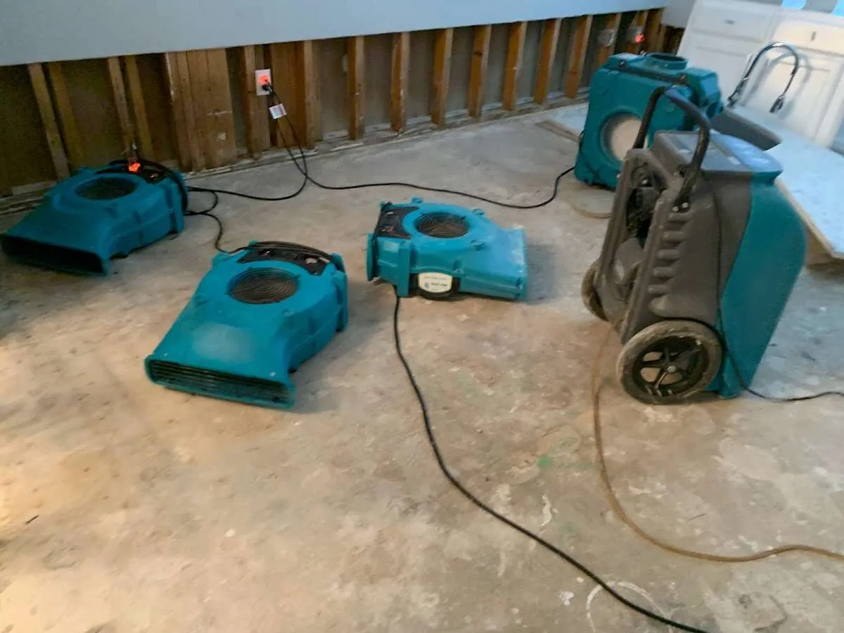 Water Damage Assessment in Suwanee, GA